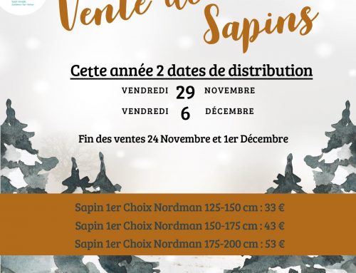 Vente de sapins 2024